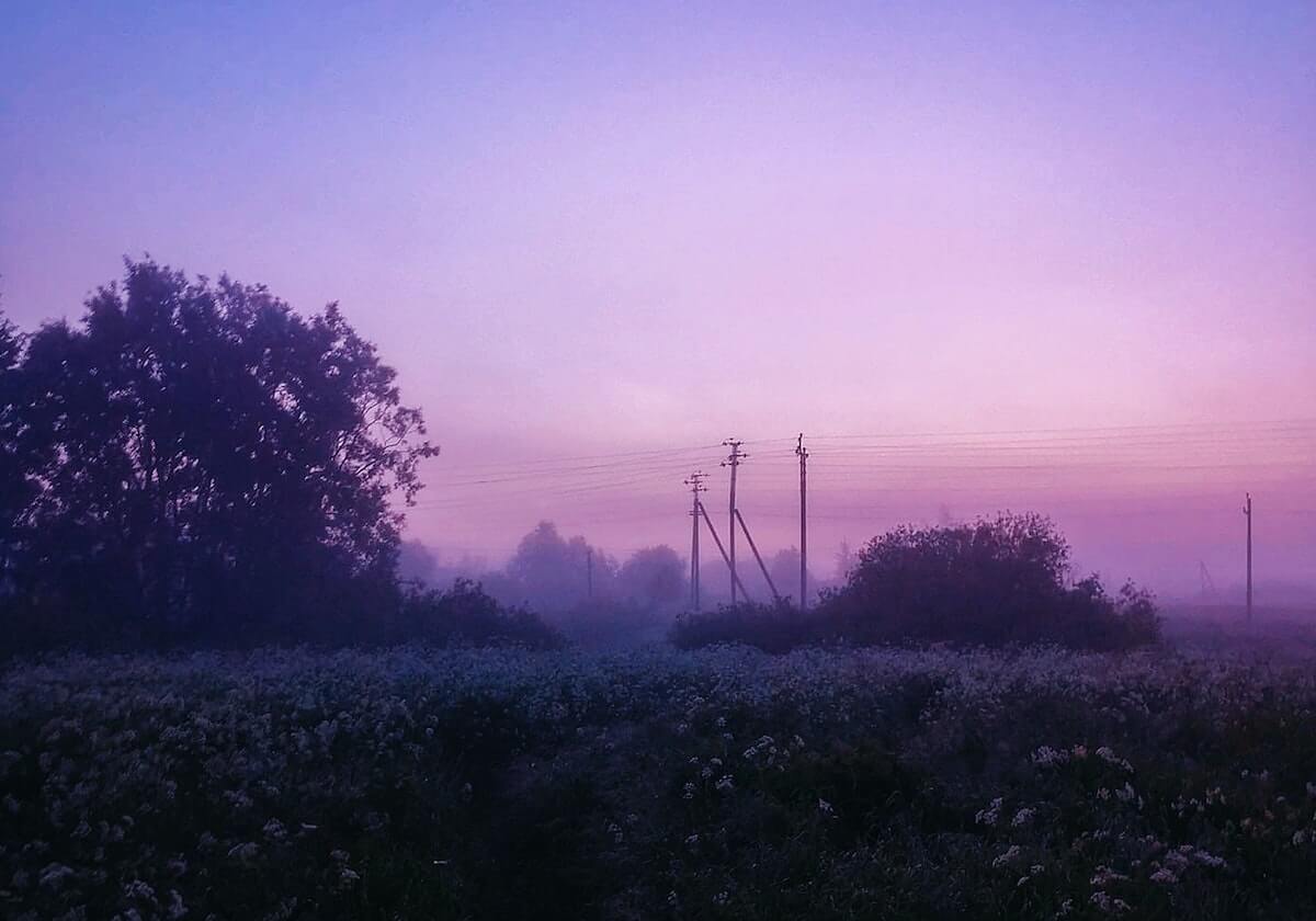 尤文对阵约基奇，欧冠赛场竟出现临场战术，现场观众激动，开云体育入口全程关注