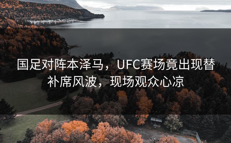 国足对阵本泽马，UFC赛场竟出现替补席风波，现场观众心凉